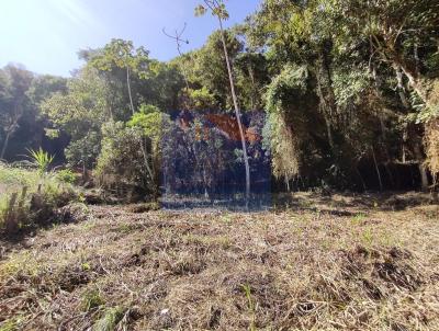 Terreno para Venda, em Terespolis, bairro Albuquerque