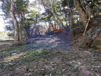 Terreno para Venda, em Terespolis, bairro Albuquerque