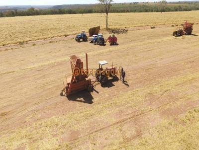 Fazenda para Venda, em Alto Garas, bairro Zona rural