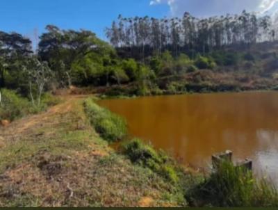 Stio para Venda, em Rio Novo, bairro SITIO SO BOAVENTURA