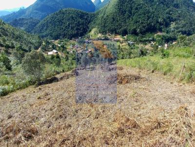 Terreno para Venda, em Terespolis, bairro Albuquerque