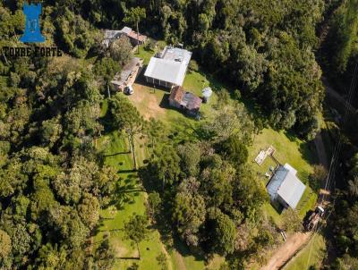 Chcara para Venda, em Tijucas do Sul, bairro So Joo, 4 dormitrios, 5 banheiros, 3 sutes, 4 vagas