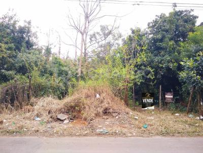 Terreno para Venda, em Sapiranga, bairro Amaral Ribeiro