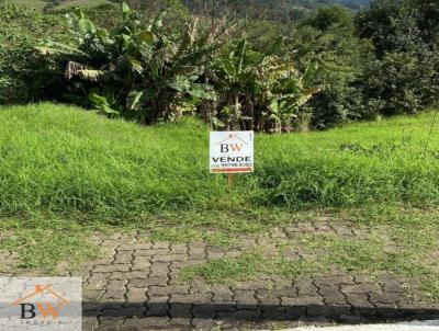 Terreno Urbano para Venda, em Tupandi, bairro Centro