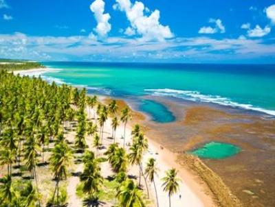 Terreno para Venda, em Mata De So Joo, bairro Condomnio Praia Das Tartarugas