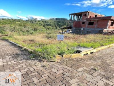 Terreno Urbano para Venda, em Tupandi, bairro Varzea
