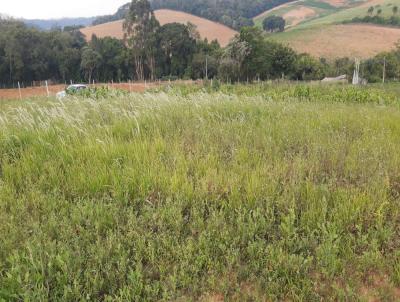 Terreno para Venda, em Piedade, bairro Limal