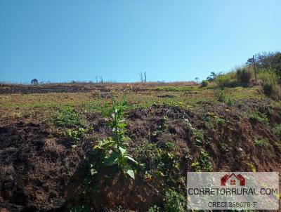 Terreno para Venda, em Piedade, bairro Ortizes