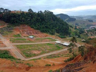 Lote para Venda, em Manhuau, bairro Vila Rica