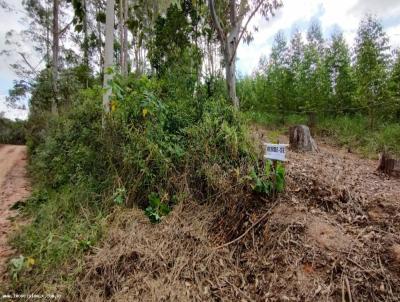 Terreno Rural para Venda, em Santa Branca, bairro CHCARA SANTA JOANA