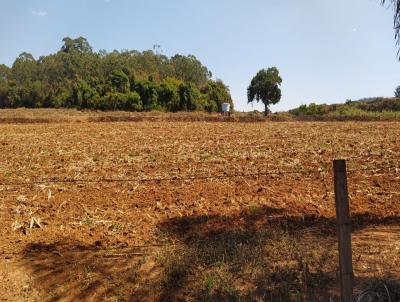 Fazenda para Venda, em Cssia dos Coqueiros, bairro RURAL