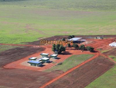 Fazenda para Venda, em Primavera do Leste, bairro Zona rural