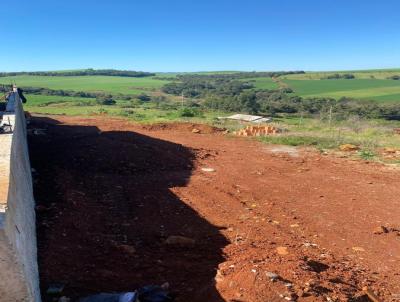 Lote para Venda, em Rio Bonito do Iguau, bairro Santo Antonio