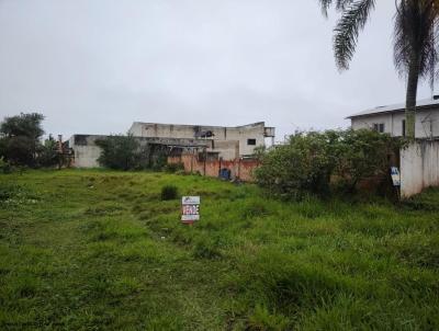 Terreno para Venda, em Guaratuba, bairro Mirim