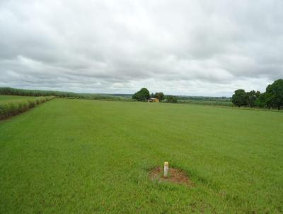 Fazenda para Venda, em So Paulo, bairro 000