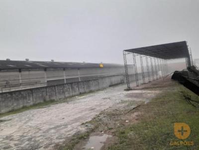 Terreno Industrial para Locao, em So Bernardo do Campo, bairro Planalto