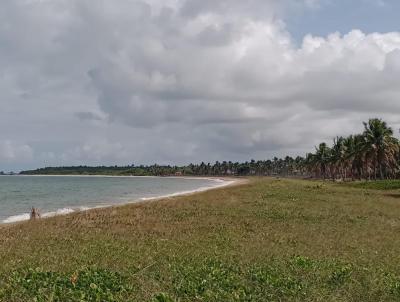 Terreno em Praia para Venda, em Ipojuca, bairro Tamandare