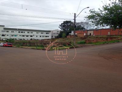 Terreno para Venda, em Iju, bairro Centro