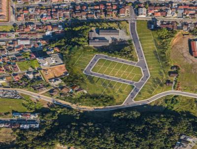 Terreno para Venda, em Jaragu do Sul, bairro Rau