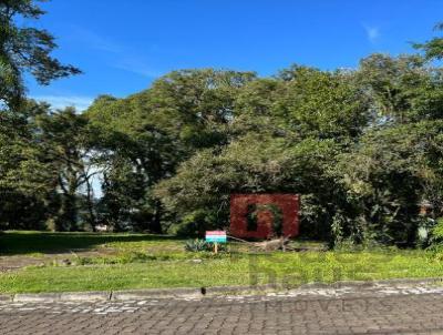 Terreno para Venda, em Santa Cruz do Sul, bairro Centro