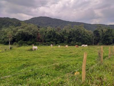 Terreno para Venda, em Garopaba, bairro Encantada