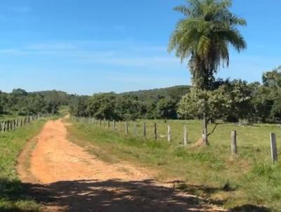 Fazenda para Venda, em Pocon, bairro Rural