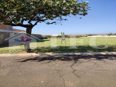 Terreno para Venda, em Araatuba, bairro 