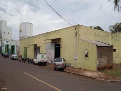 Terreno para Venda, em Apucarana, bairro Vila So Francisco