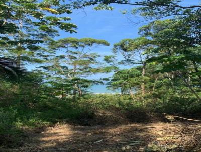 Terreno para Venda, em Garopaba, bairro Siriu