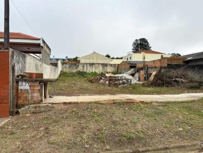 Terreno para Venda, em Ponta Grossa, bairro Vila Marina