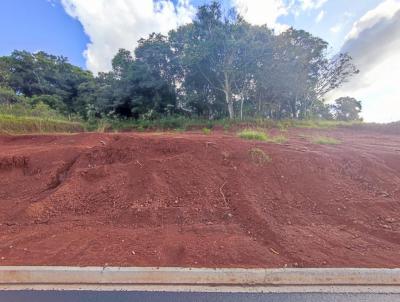 Terreno para Venda, em Pato Branco, bairro Pagnonceli