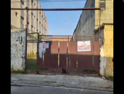 Terreno para Venda, em So Paulo, bairro Vila Fachini