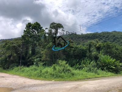 Terreno para Venda, em Caraguatatuba, bairro Praia da Tabatinga