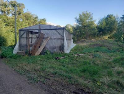 Stio / Chcara para Venda, em Morro Reuter, bairro So Jos do Herval