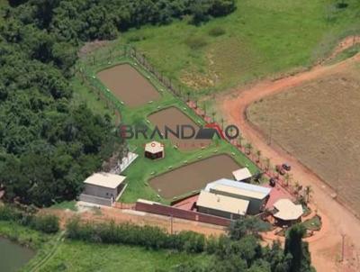 Terreno para Venda, em Altinpolis, bairro Zona Rural