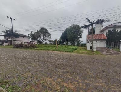 Terreno para Venda, em Porto, bairro Centro