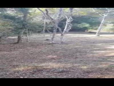 Terreno para Venda, em Garopaba, bairro Macacu