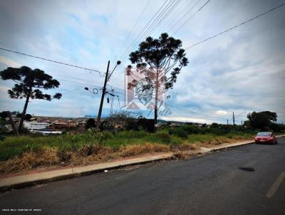 Terreno para Venda, em Jaguariava, bairro JARDIM PRIMAVERA |||