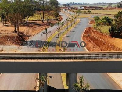 Terreno para Venda, em Ribeiro Preto, bairro Parque Das Gaivotas