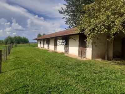 Stio para Venda, em Santa Cruz da Conceio, bairro Serrinha