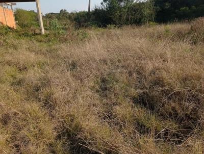 Terreno para Venda, em Curitiba, bairro Cidade Industrial