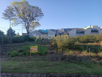 Terreno para Venda, em Marechal Cndido Rondon, bairro Loteamento Baio