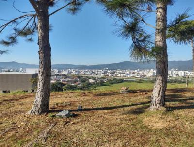 Terreno para Venda, em Cambori, bairro Rio do Meio