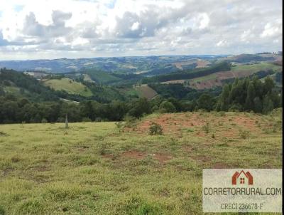 Terreno para Venda, em Piedade, bairro Oliveiras