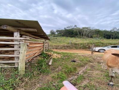 Stio para Venda, em Presidente Getlio, bairro Pinheiro Alto