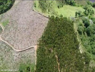 Terreno Rural para Venda, em Igarat, bairro BAIRRO BOA VISTA