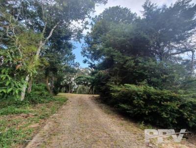 Terreno para Venda, em Terespolis, bairro Fazenda Suia