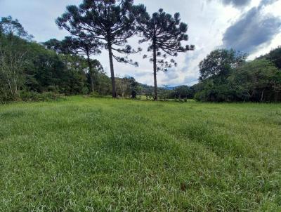 Stio / Chcara para Venda, em Igrejinha, bairro Serra Grande