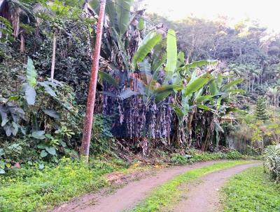 Terreno para Venda, em Terespolis, bairro Fazenda Boa F