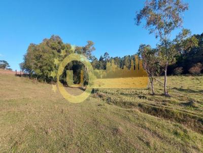 rea Rural para Venda, em Camaqu, bairro Galpes, 4 dormitrios, 2 banheiros